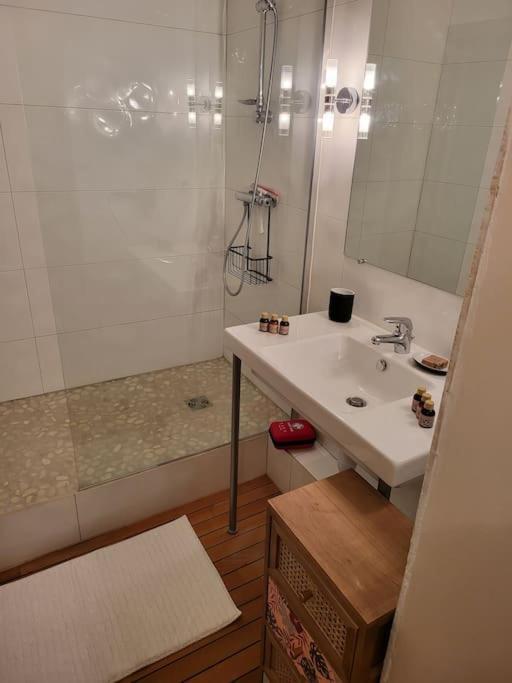 Appartement Luxe "La Providence" , Plein Centre วิชี ภายนอก รูปภาพ