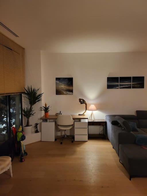 Appartement Luxe "La Providence" , Plein Centre วิชี ภายนอก รูปภาพ