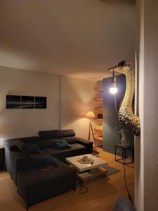 Appartement Luxe "La Providence" , Plein Centre วิชี ภายนอก รูปภาพ