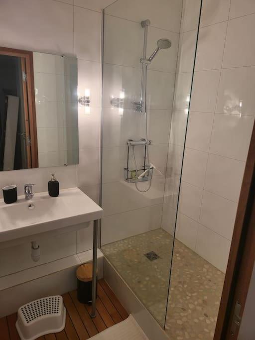 Appartement Luxe "La Providence" , Plein Centre วิชี ภายนอก รูปภาพ