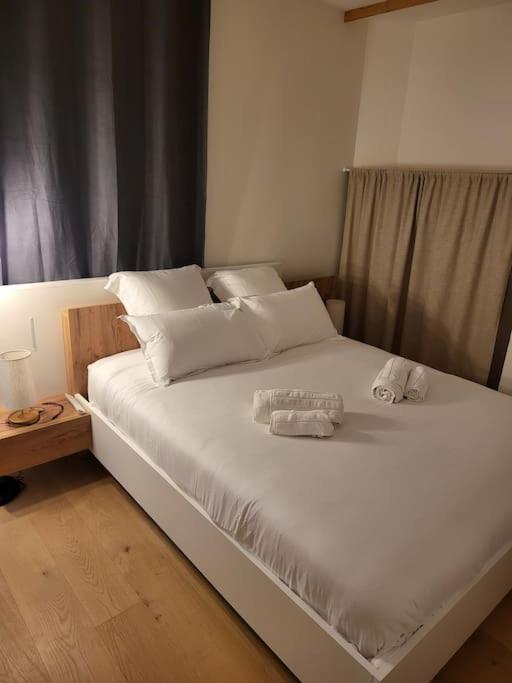 Appartement Luxe "La Providence" , Plein Centre วิชี ภายนอก รูปภาพ