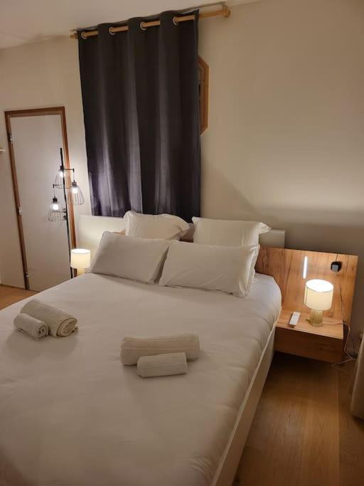 Appartement Luxe "La Providence" , Plein Centre วิชี ภายนอก รูปภาพ