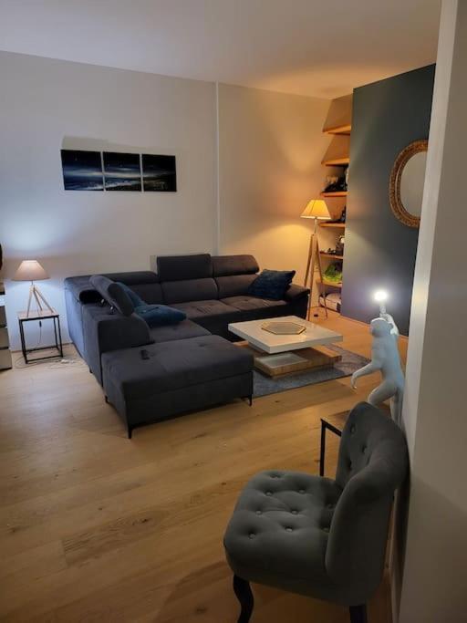 Appartement Luxe "La Providence" , Plein Centre วิชี ภายนอก รูปภาพ